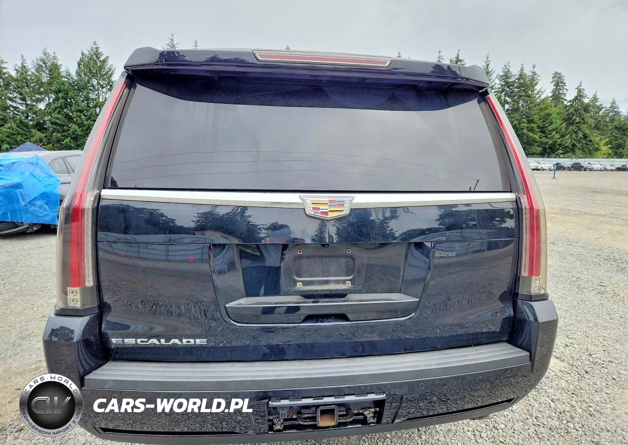 2016 Cadillac Escalade Esv Premium VIN:1GYS4JKJ1GR325698 - 6