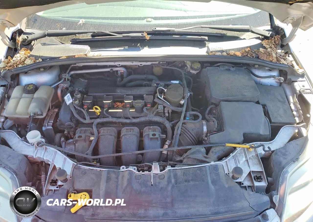 2014 Ford Focus Se VIN:1FADP3F24EL287569 - 11