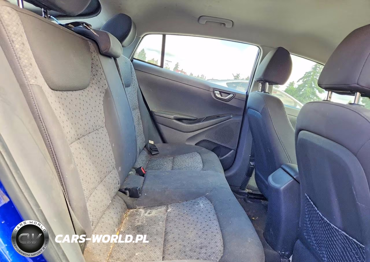 2019 Hyundai Ioniq Blue VIN:KMHC65LCXKU113881 - 10