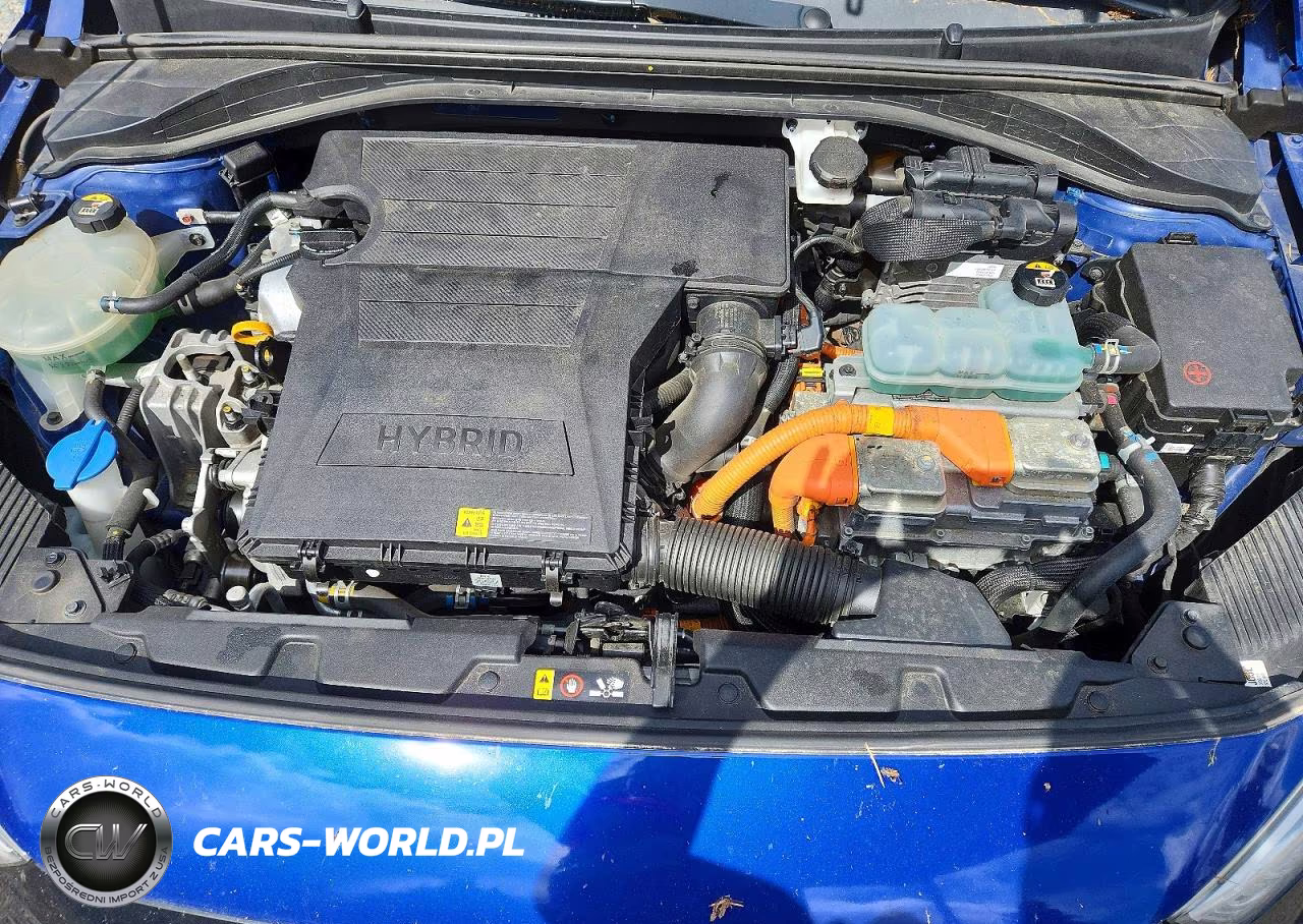 2019 Hyundai Ioniq Blue VIN:KMHC65LCXKU113881 - 11
