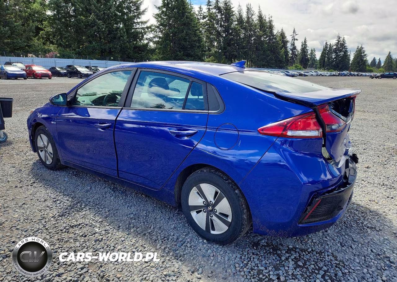2019 Hyundai Ioniq Blue VIN:KMHC65LCXKU113881 - 2