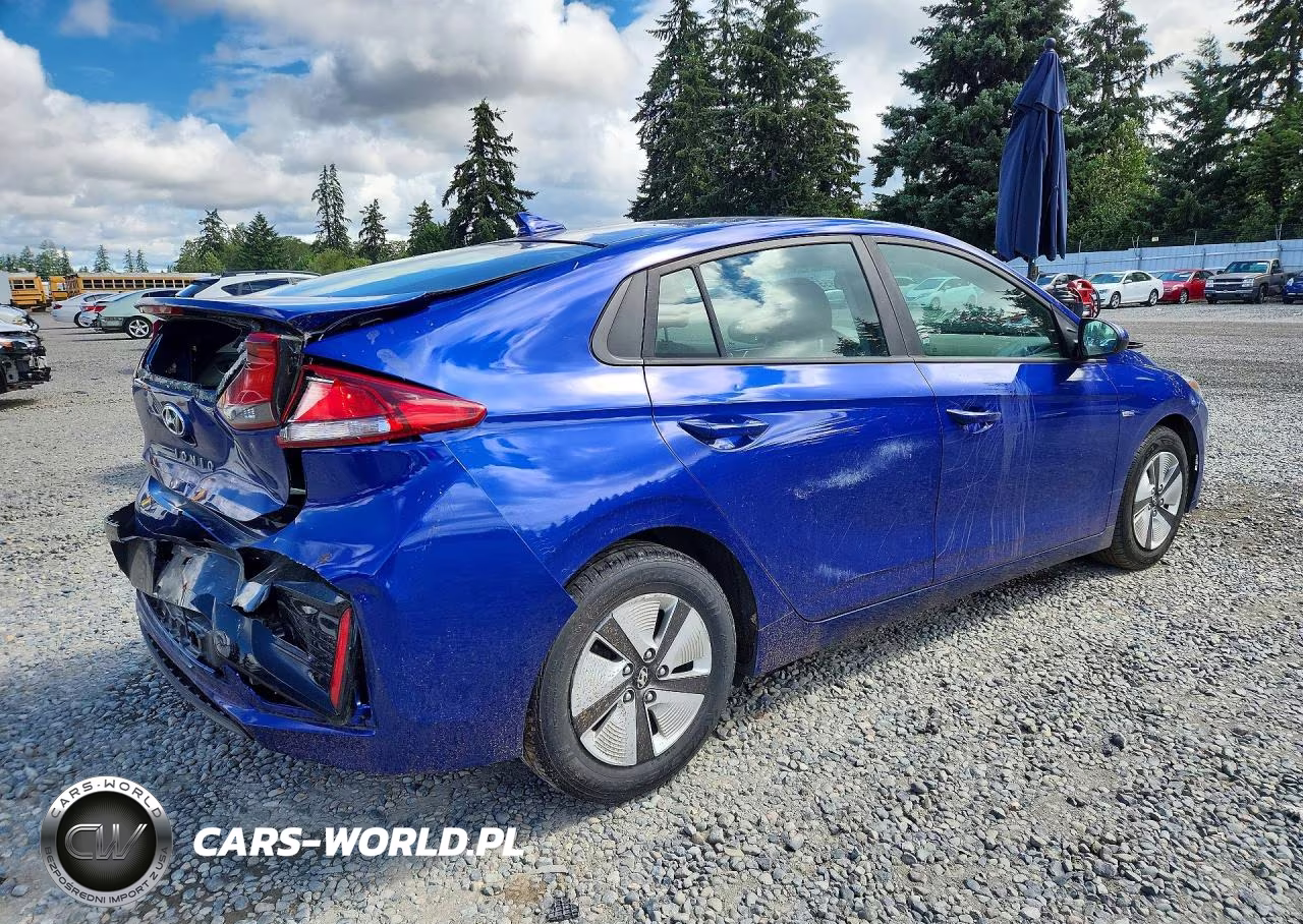 2019 Hyundai Ioniq Blue VIN:KMHC65LCXKU113881 - 3
