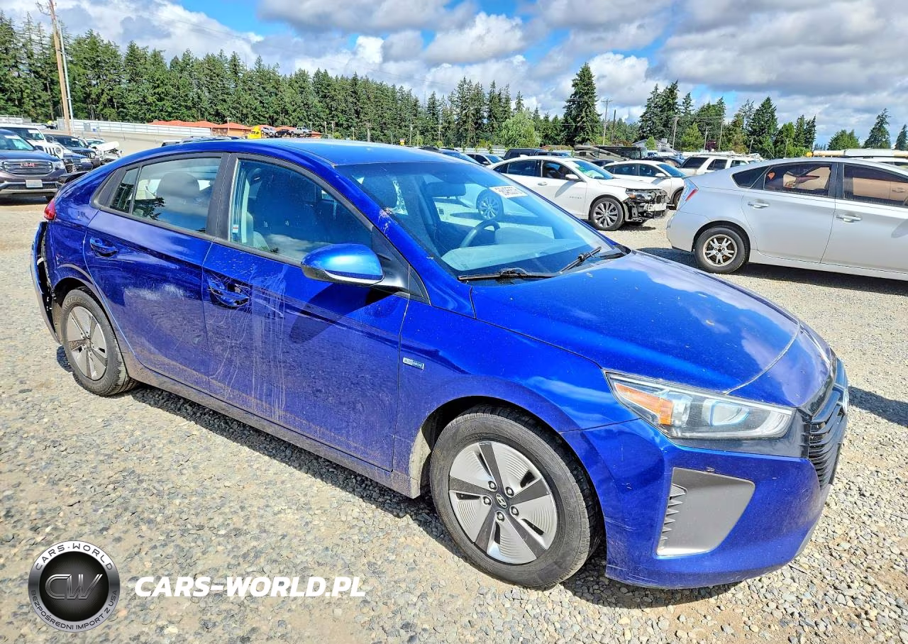 2019 Hyundai Ioniq Blue VIN:KMHC65LCXKU113881 - 4