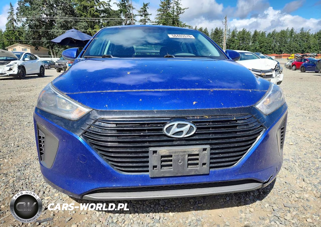 2019 Hyundai Ioniq Blue VIN:KMHC65LCXKU113881 - 5