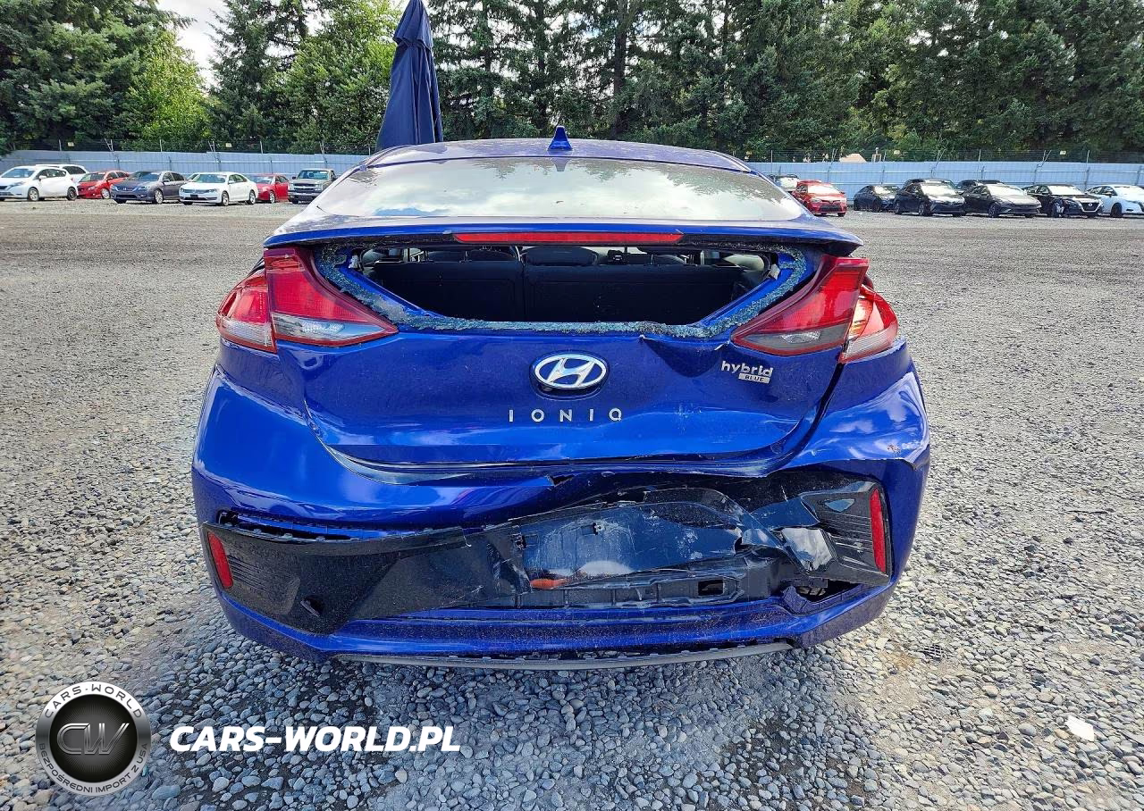 2019 Hyundai Ioniq Blue VIN:KMHC65LCXKU113881 - 6