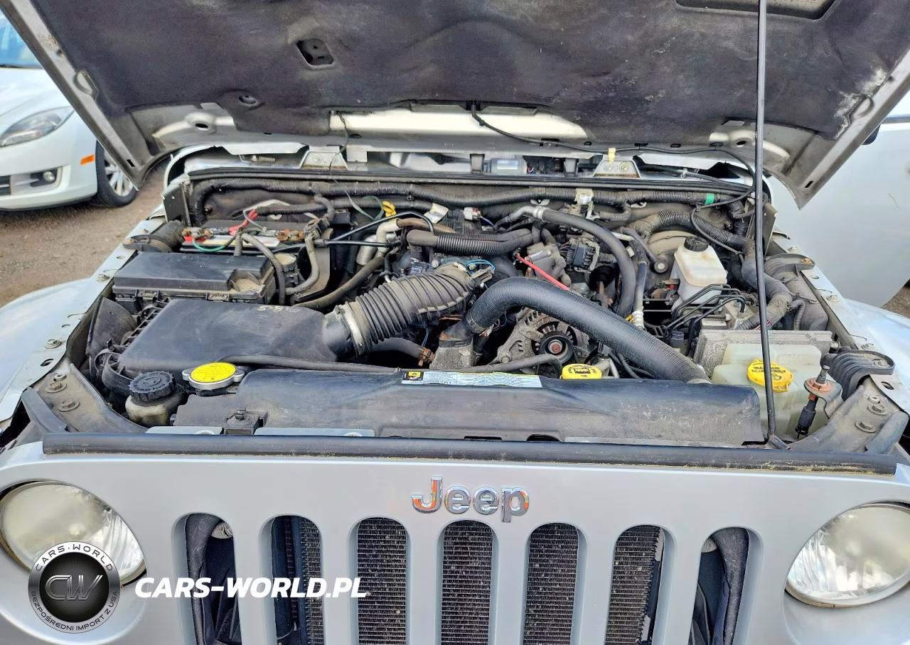 2009 Jeep Wrangler Unlimited Sahara VIN:1J8GA59109L788223 - 11
