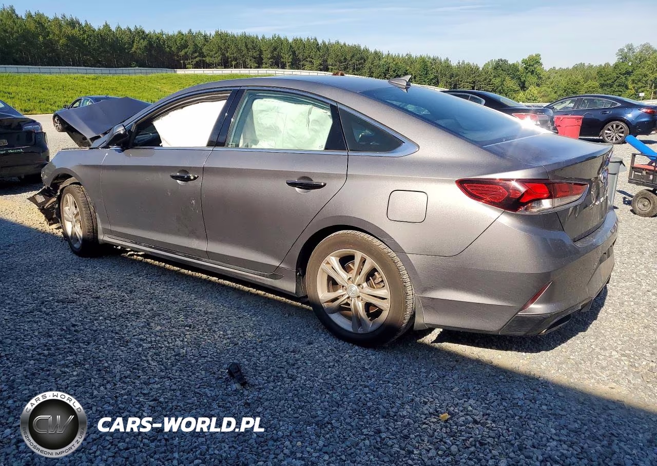 2019 Hyundai Sonata Sport VIN:5NPE34AF6KH791616 - 2