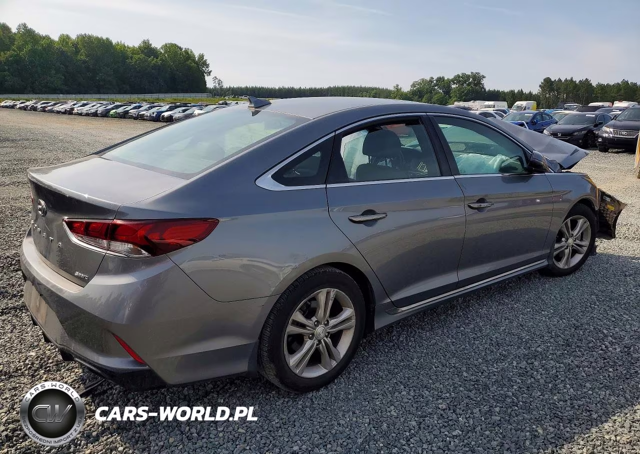 2019 Hyundai Sonata Sport VIN:5NPE34AF6KH791616 - 3