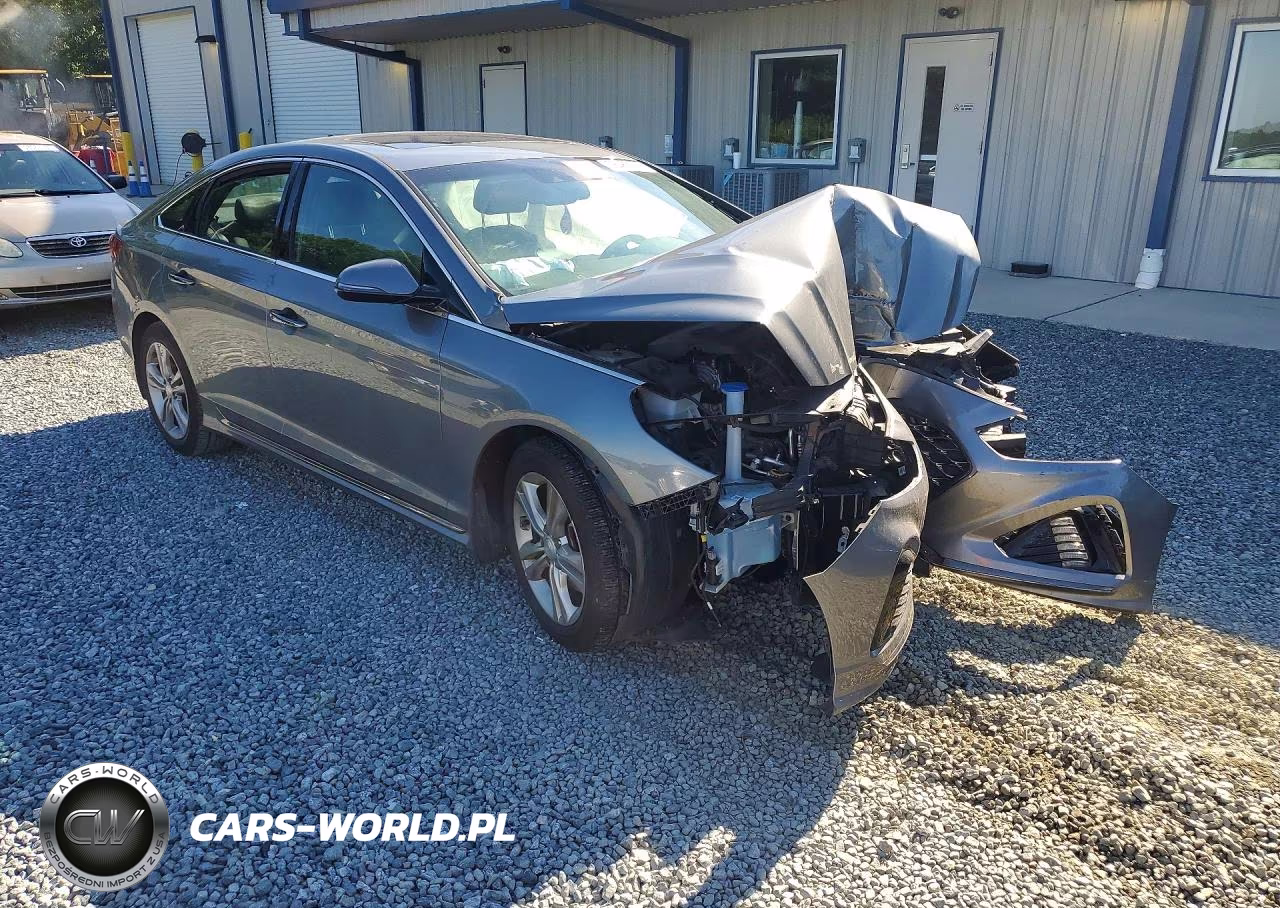 2019 Hyundai Sonata Sport VIN:5NPE34AF6KH791616 - 4