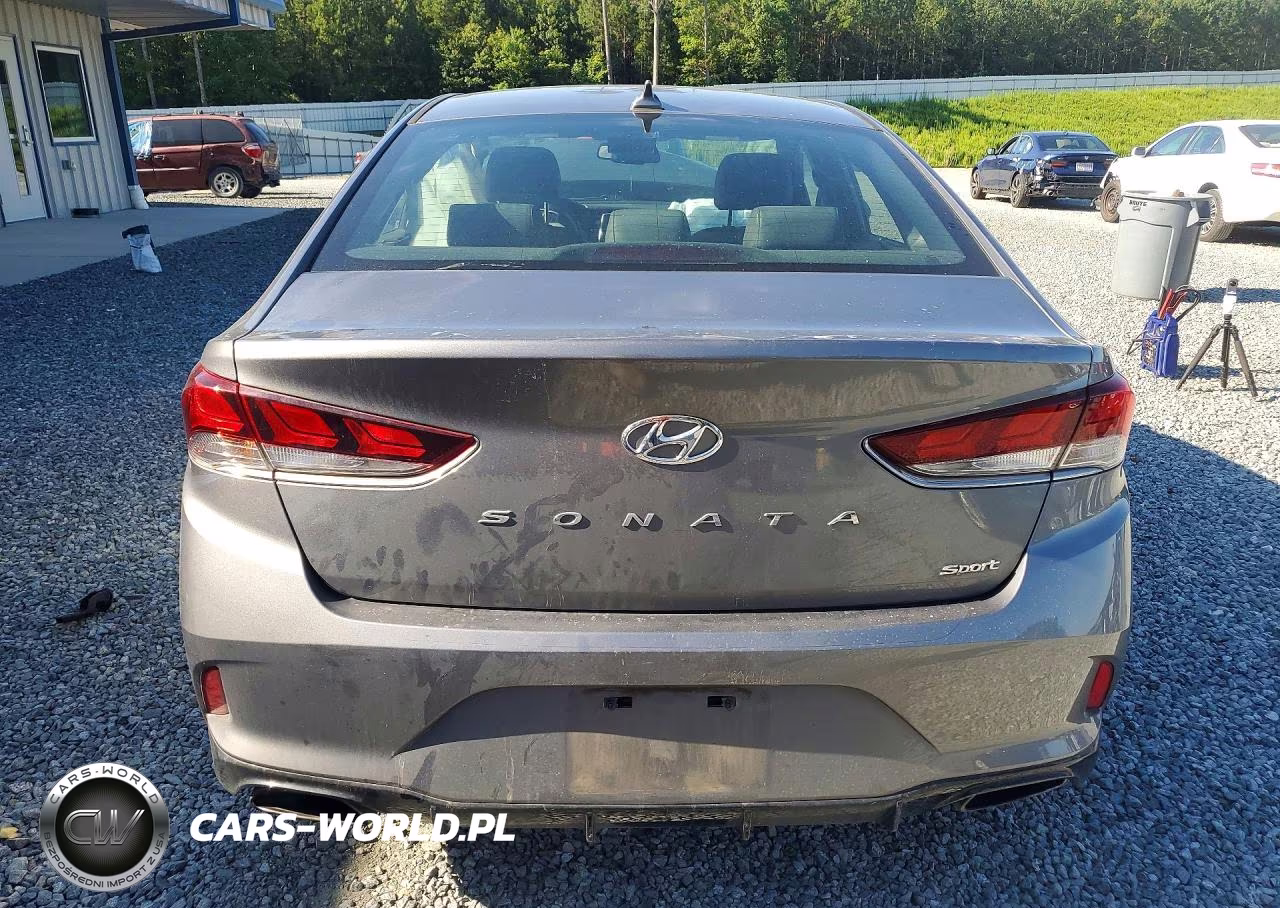 2019 Hyundai Sonata Sport VIN:5NPE34AF6KH791616 - 6