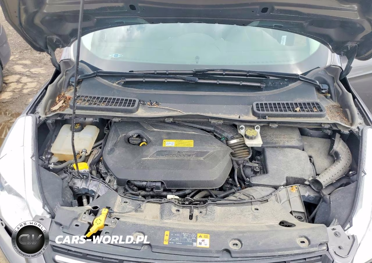 2013 Ford Escape Se VIN:1FMCU0GX7DUD77083 - 12
