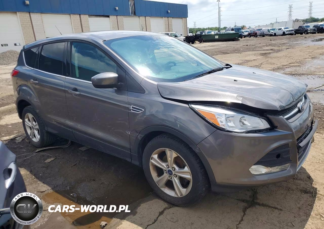 2013 Ford Escape Se VIN:1FMCU0GX7DUD77083 - 4
