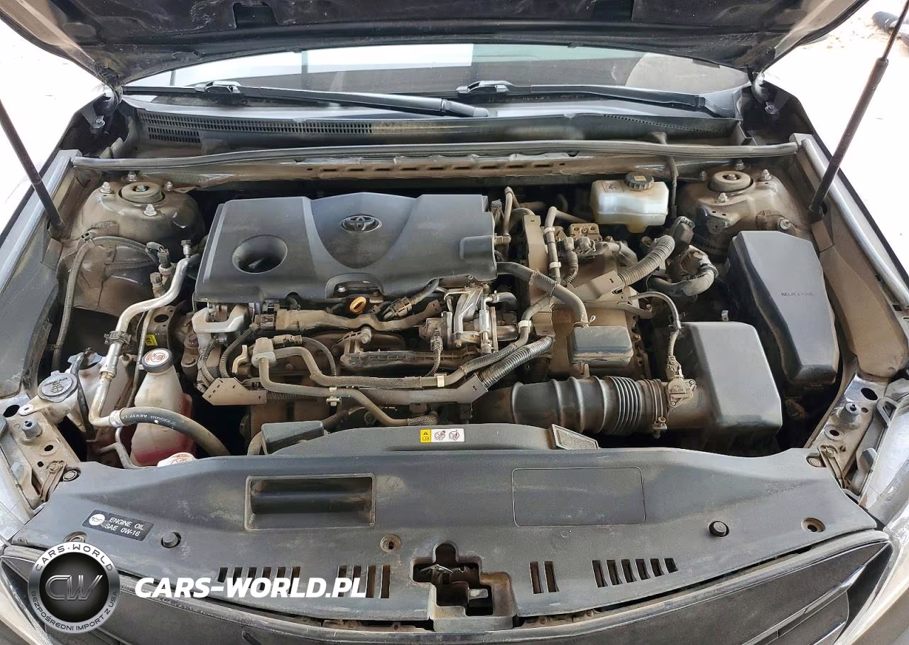 2019 Toyota Camry Le VIN:4T1B31HK3KU006801 - 11