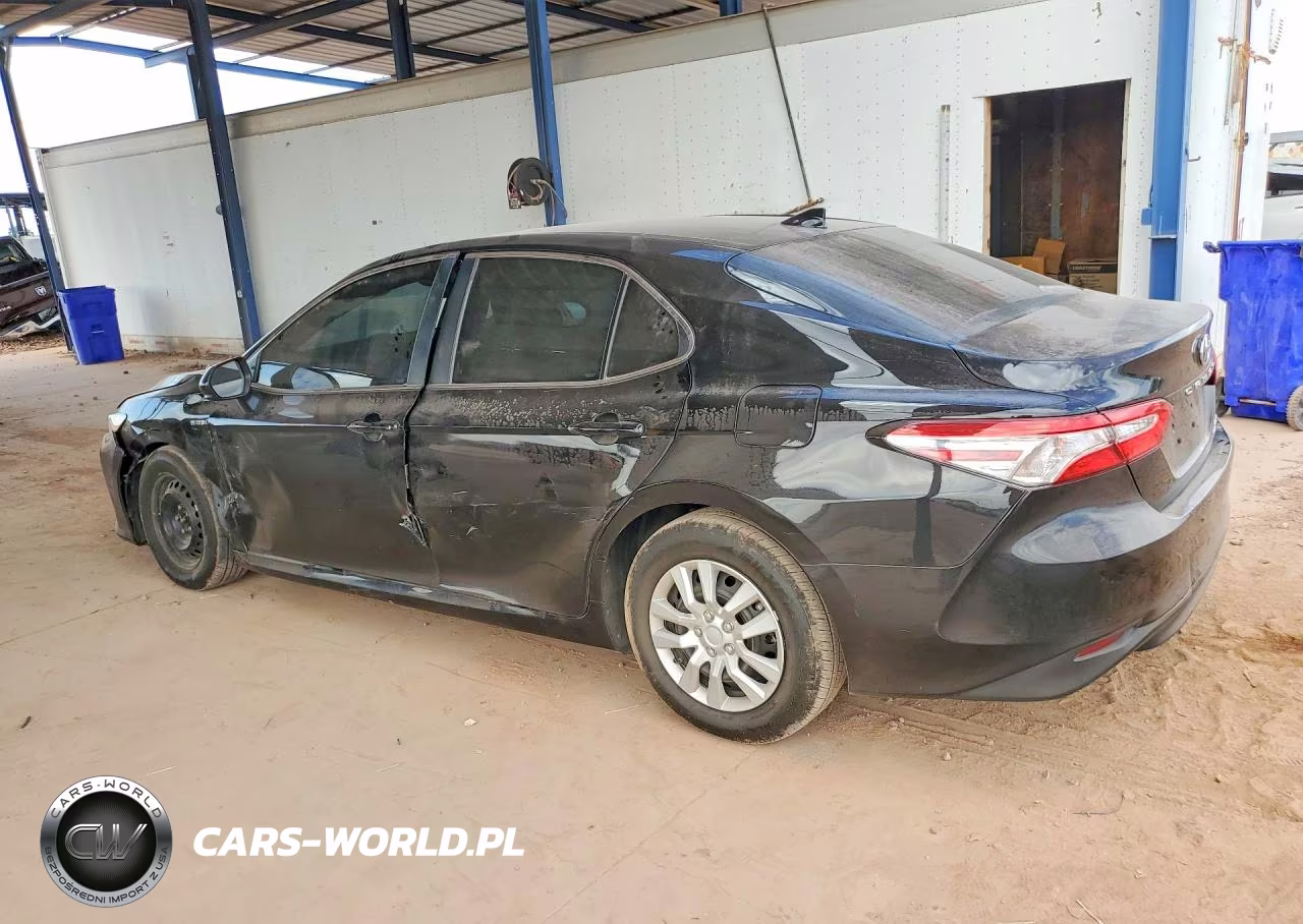 2019 Toyota Camry Le VIN:4T1B31HK3KU006801 - 2