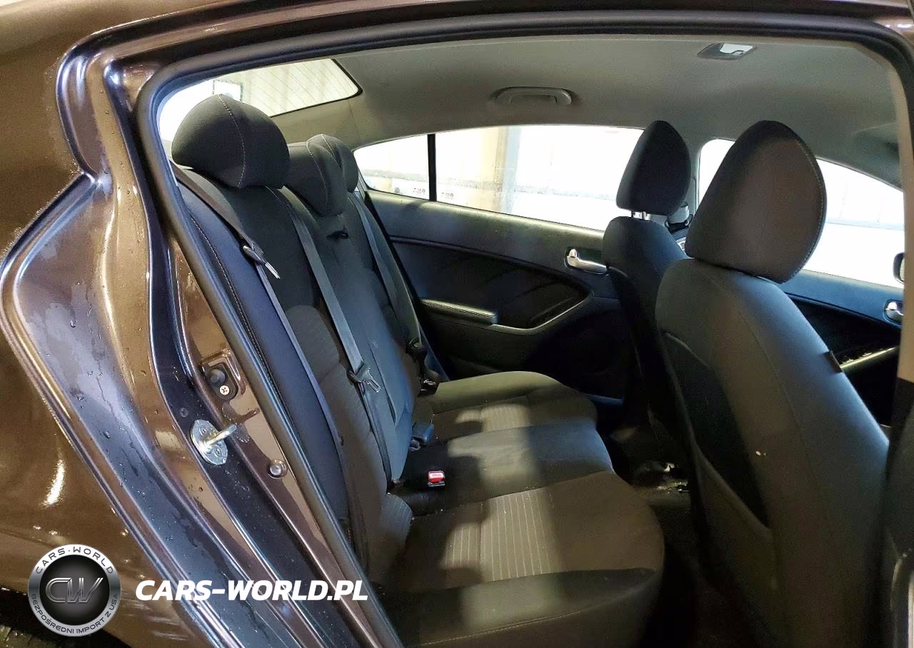 2018 Kia Forte Lx VIN:3KPFL4A73JE199767 - 10