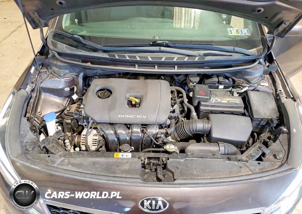 2018 Kia Forte Lx VIN:3KPFL4A73JE199767 - 11