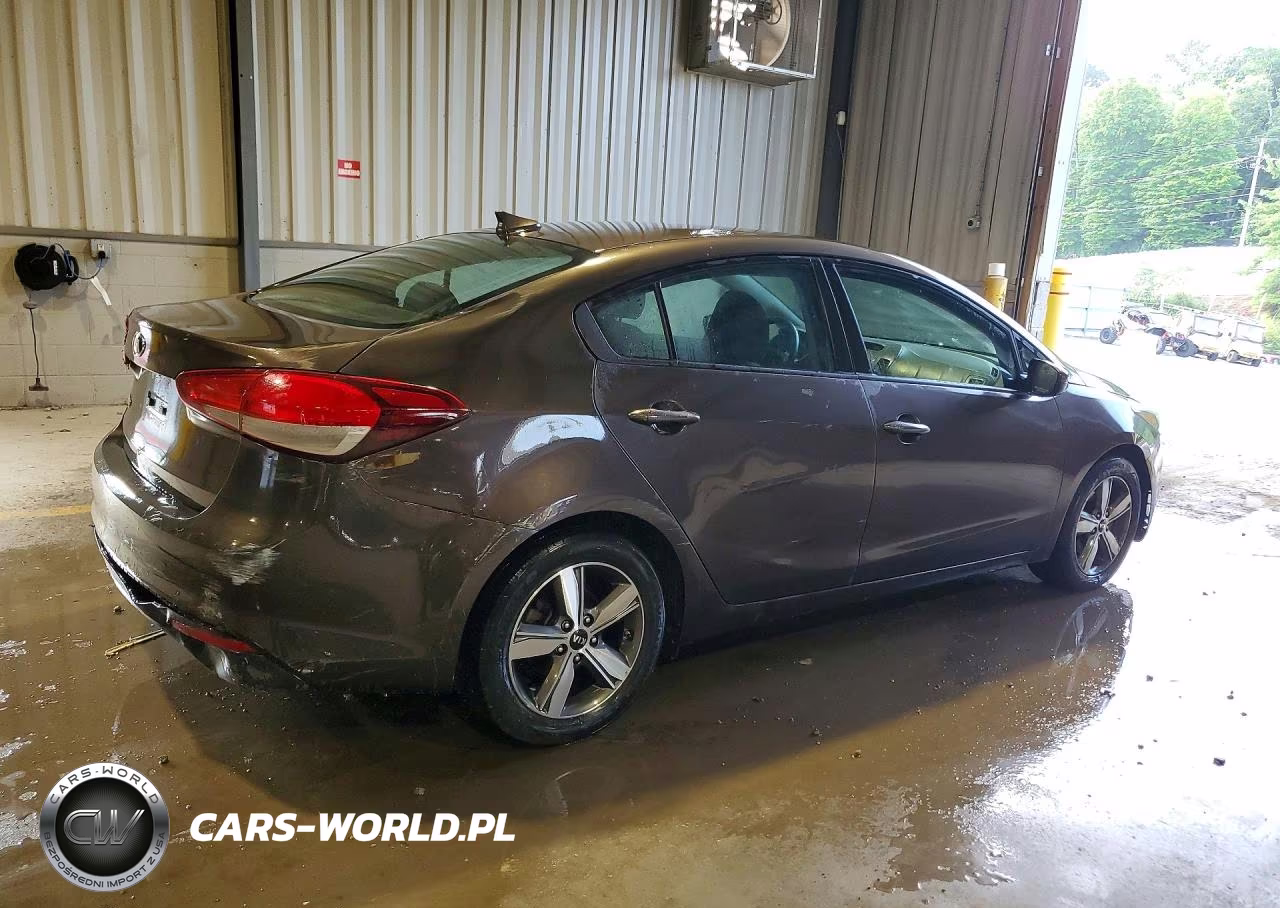 2018 Kia Forte Lx VIN:3KPFL4A73JE199767 - 3