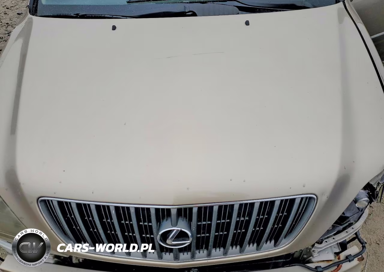 2000 Lexus Rx 300 VIN:JT6HF10U5Y0101564 - 12