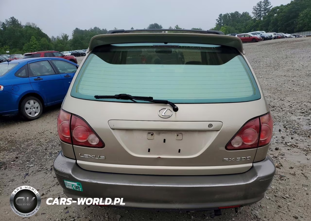 2000 Lexus Rx 300 VIN:JT6HF10U5Y0101564 - 6
