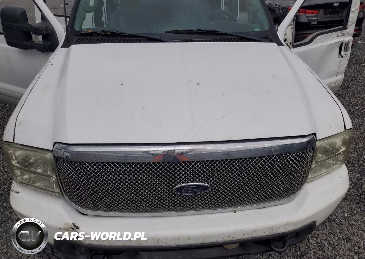 2003 Ford F250 Super Duty VIN:1FTNW21L13EA95202 - 11
