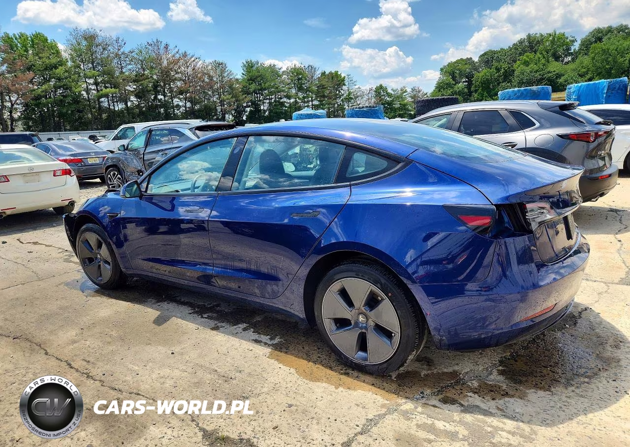 2023 Tesla Model 3 VIN:5YJ3E1EA3PF545109 - 2