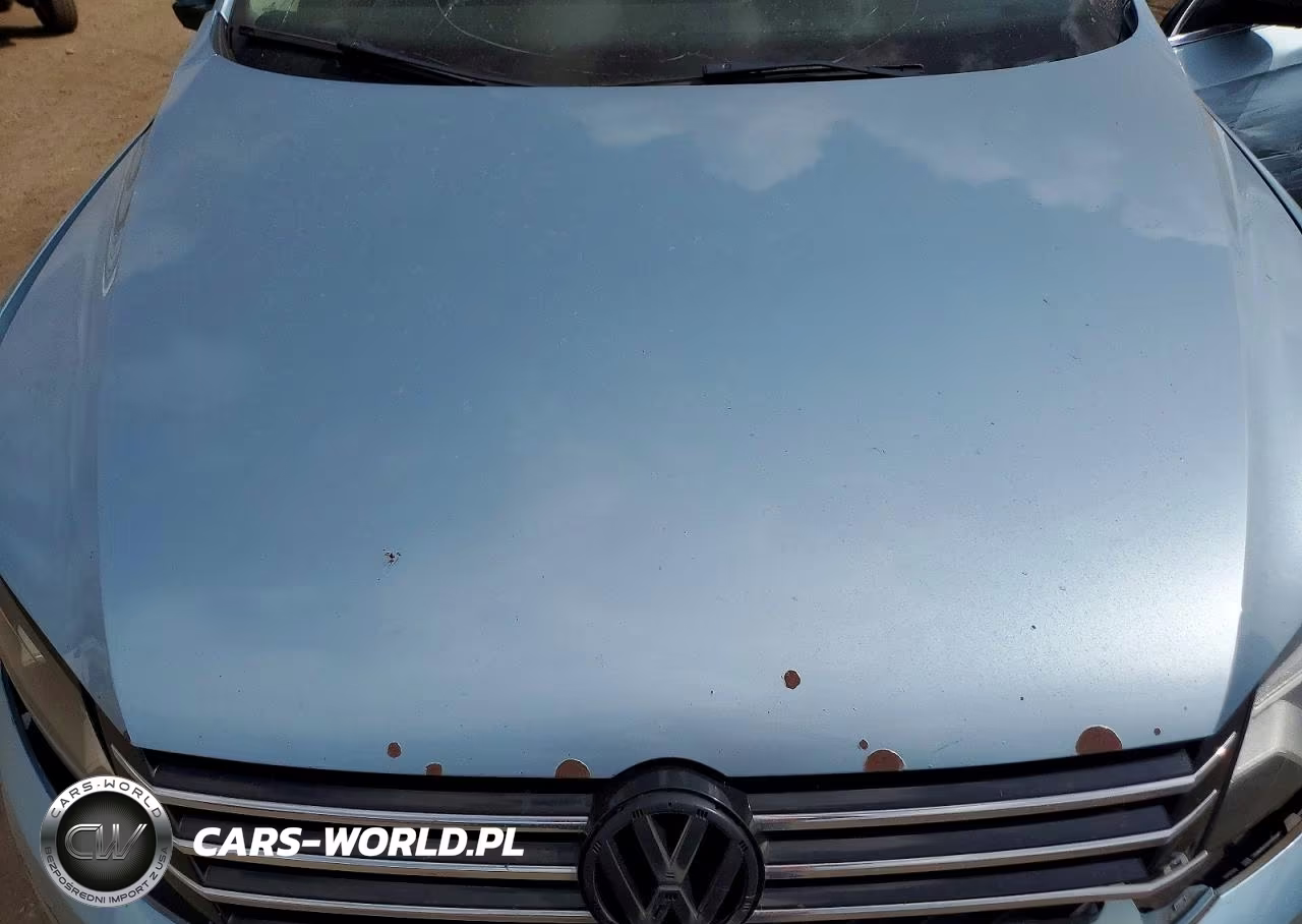2013 Volkswagen Passat Se VIN:1VWBH7A31DC030886 - 11