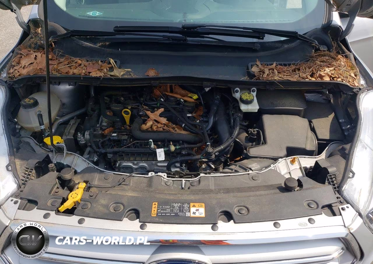 2019 Ford Escape Se VIN:1FMCU0GD1KUA74741 - 12