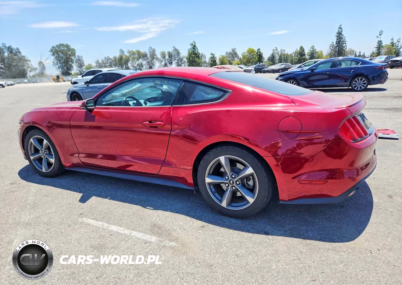 2017 Ford Mustang VIN:1FA6P8TH2H5271071 - 2