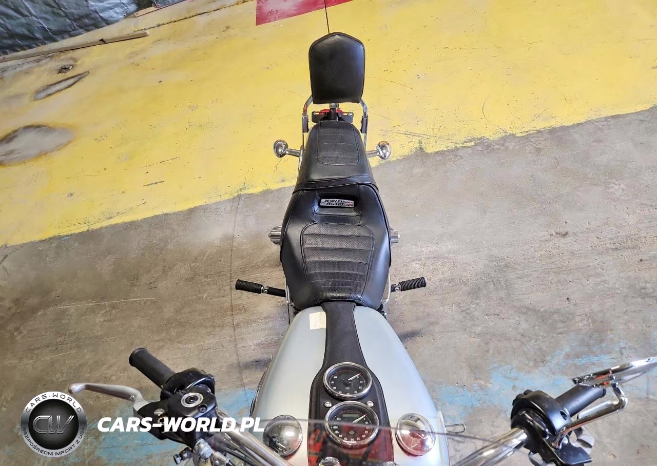 2014 Harley-Davidson Fxdl Dyna Low Rider VIN:1HD1GNM23EC316294 - 5