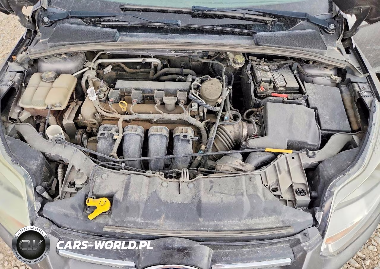 2014 Ford Focus Se VIN:1FADP3F24EL144427 - 11