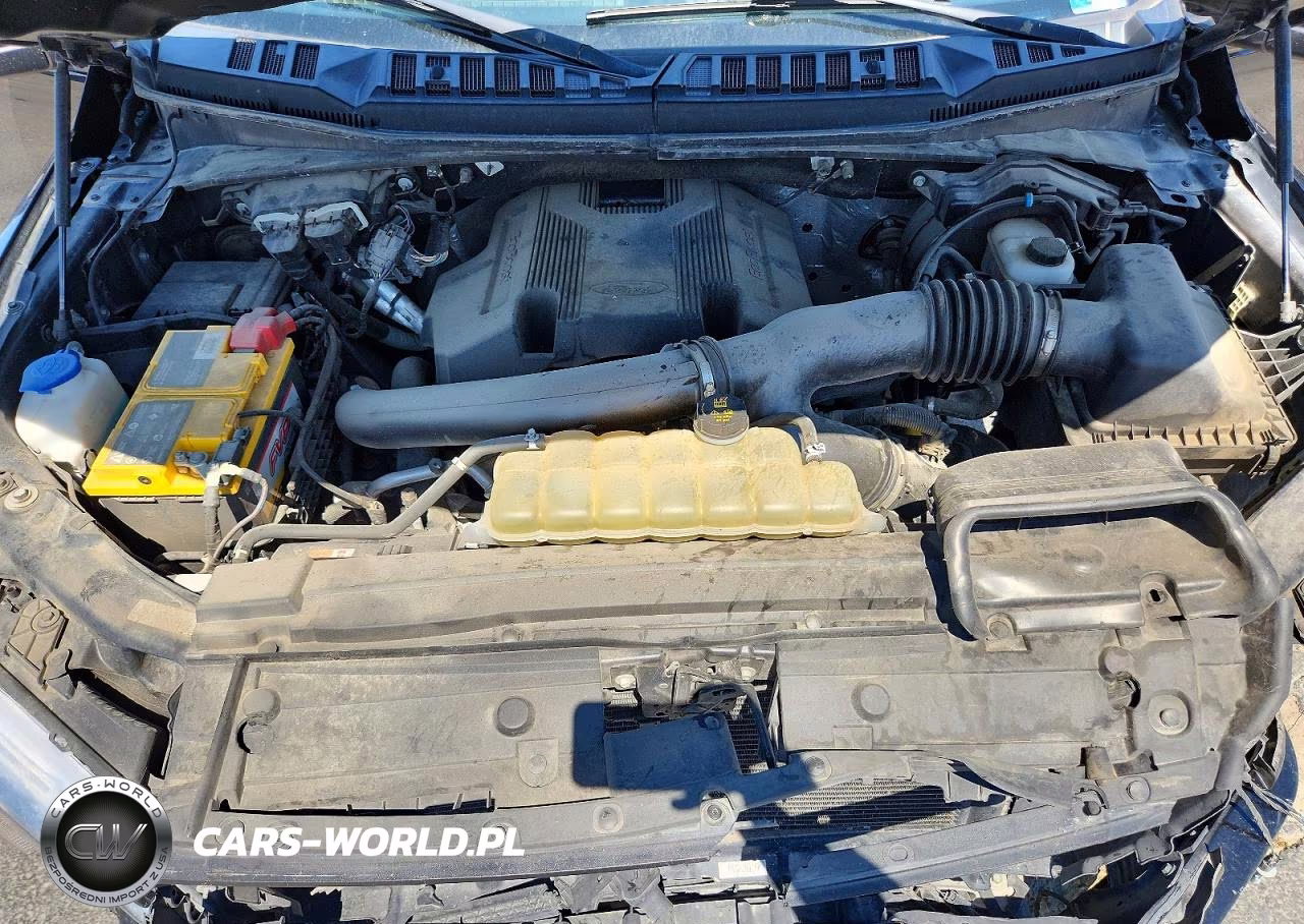 2019 Ford F150 Supercrew VIN:1FTEW1E49KKE79872 - 11
