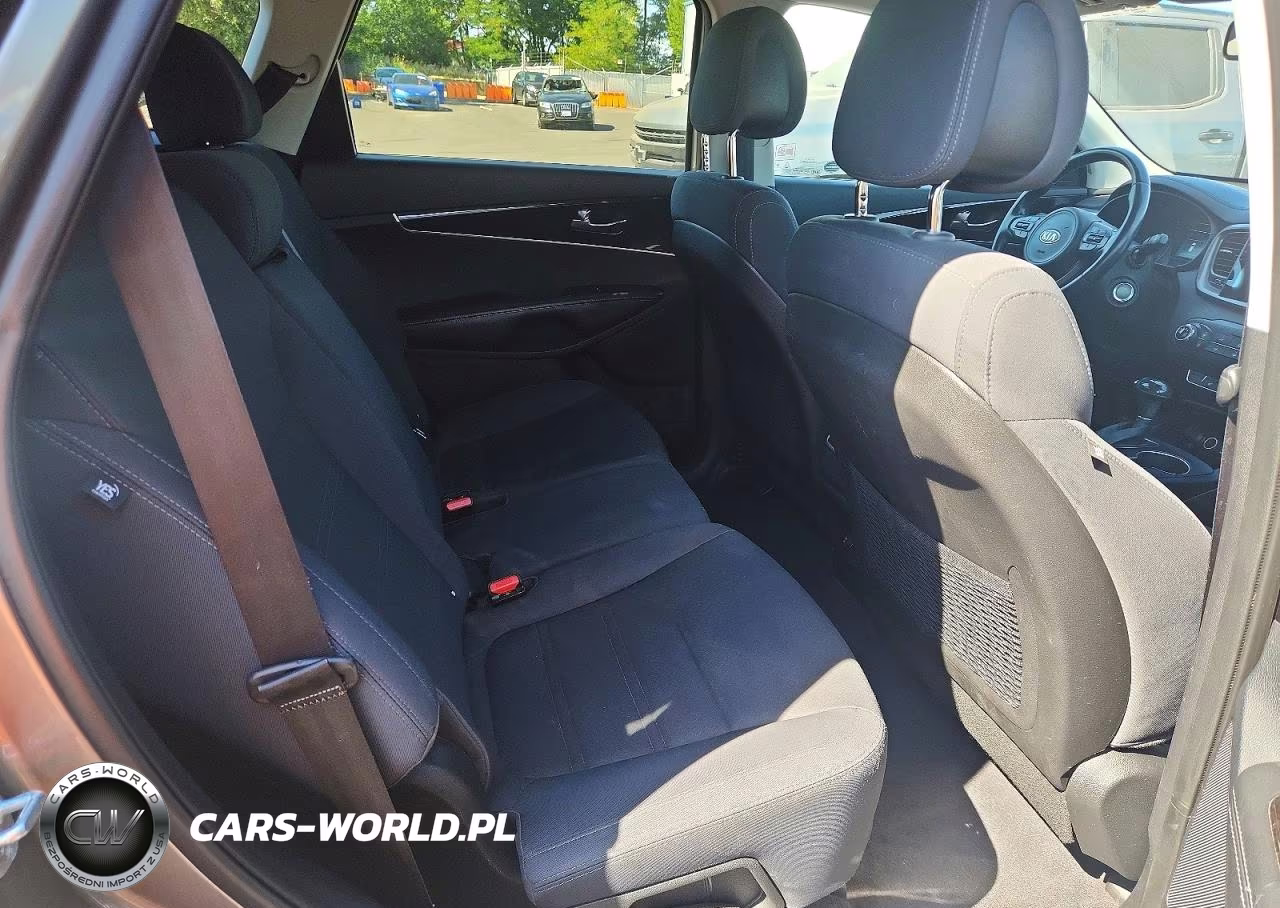 2016 Kia Sorento Lx VIN:5XYPGDA31GG090905 - 10