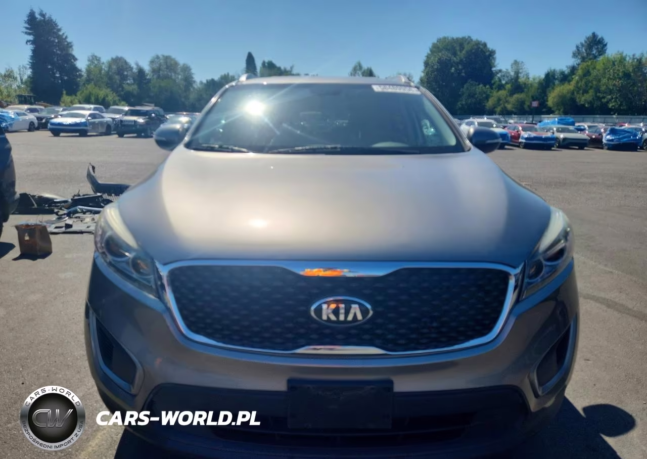 2016 Kia Sorento Lx VIN:5XYPGDA31GG090905 - 5