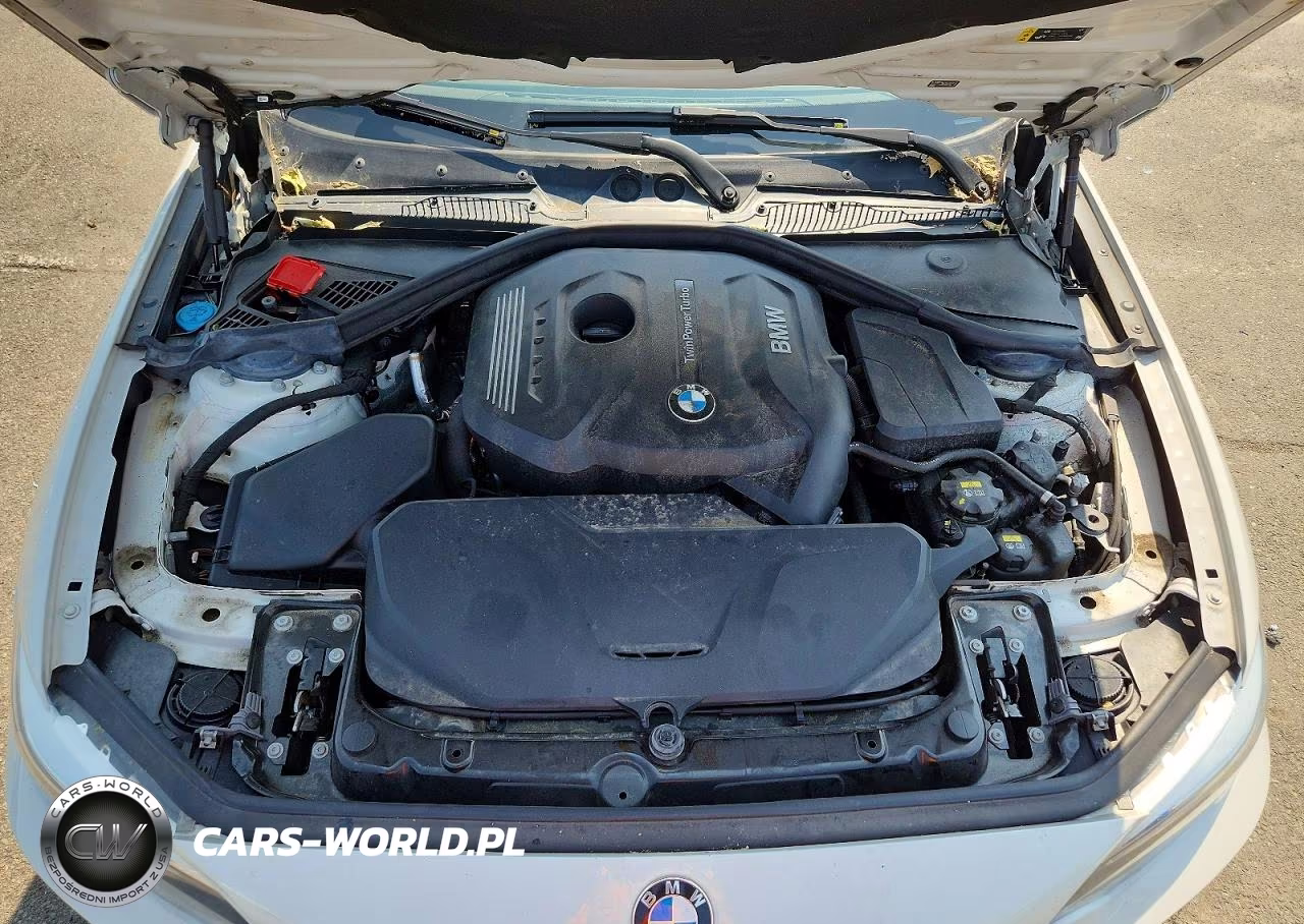 2017 BMW 230Xi VIN:WBA2H9C55HV642092 - 11