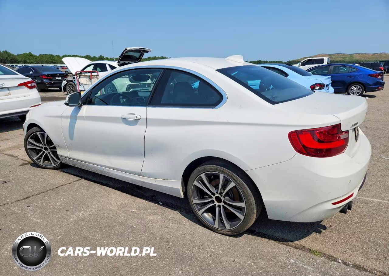 2017 BMW 230Xi VIN:WBA2H9C55HV642092 - 2
