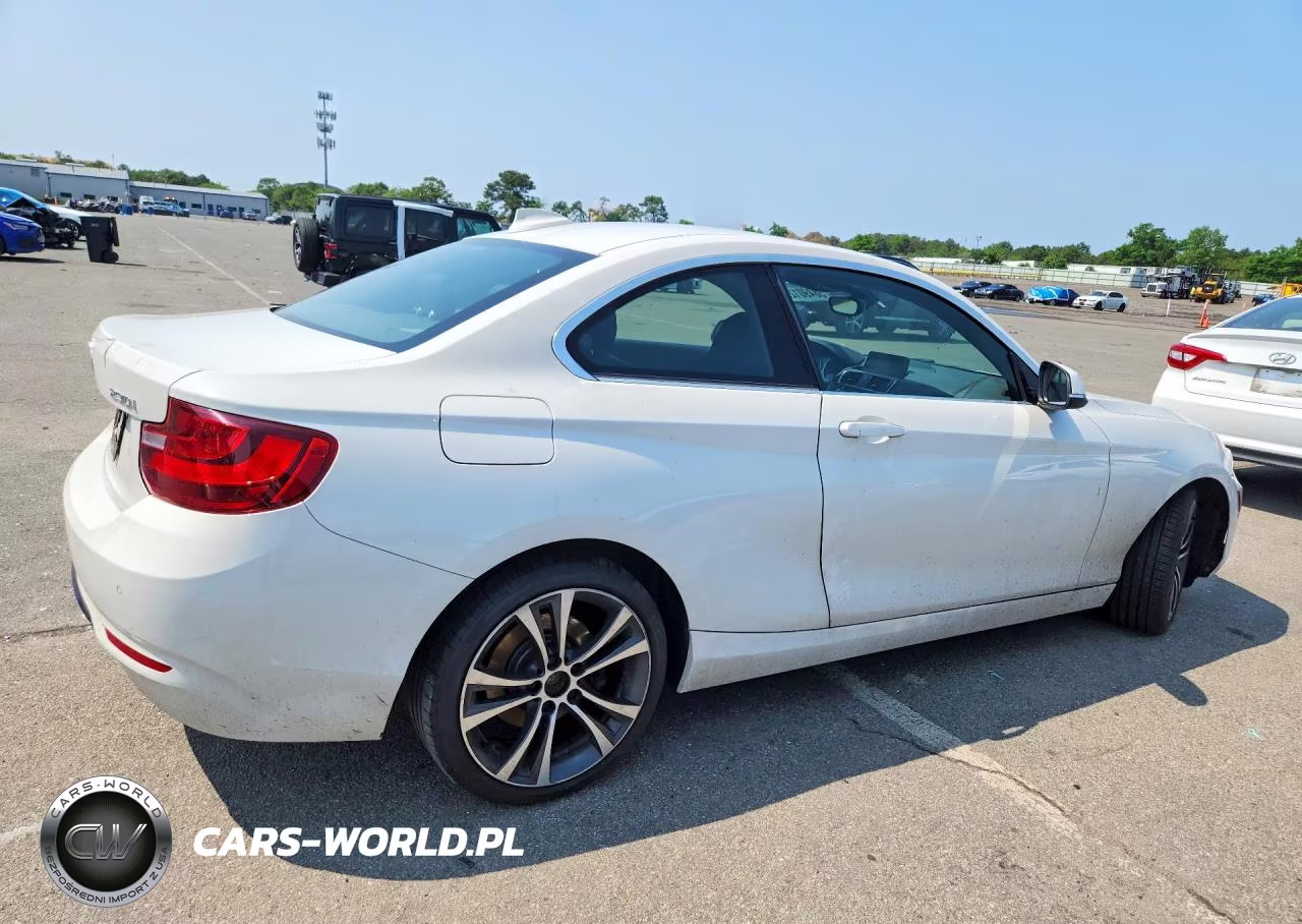 2017 BMW 230Xi VIN:WBA2H9C55HV642092 - 3