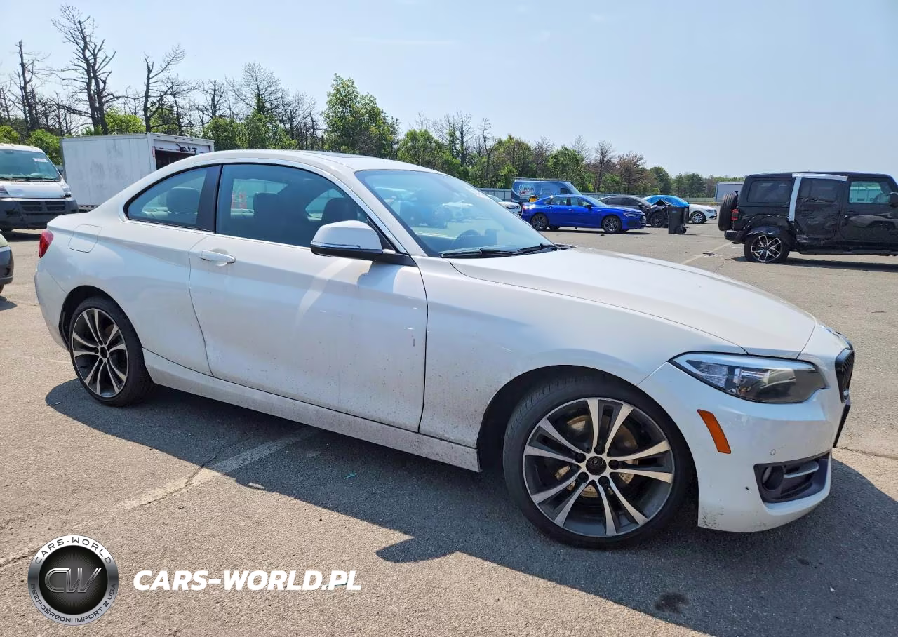 2017 BMW 230Xi VIN:WBA2H9C55HV642092 - 4