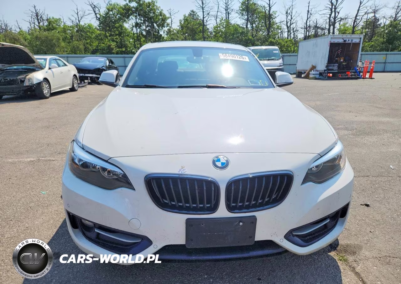2017 BMW 230Xi VIN:WBA2H9C55HV642092 - 5