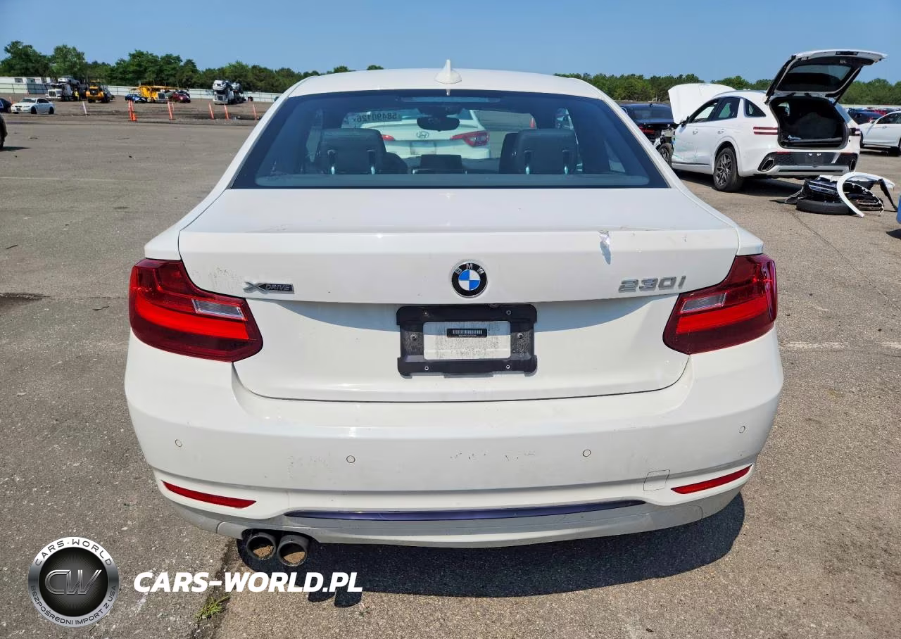 2017 BMW 230Xi VIN:WBA2H9C55HV642092 - 6