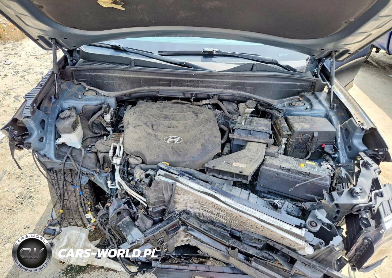2020 Hyundai Palisade VIN:KM8R5DHE5LU087354 - 12