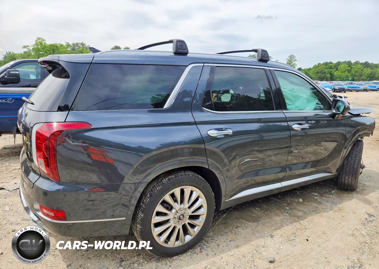 2020 Hyundai Palisade VIN:KM8R5DHE5LU087354 - 3