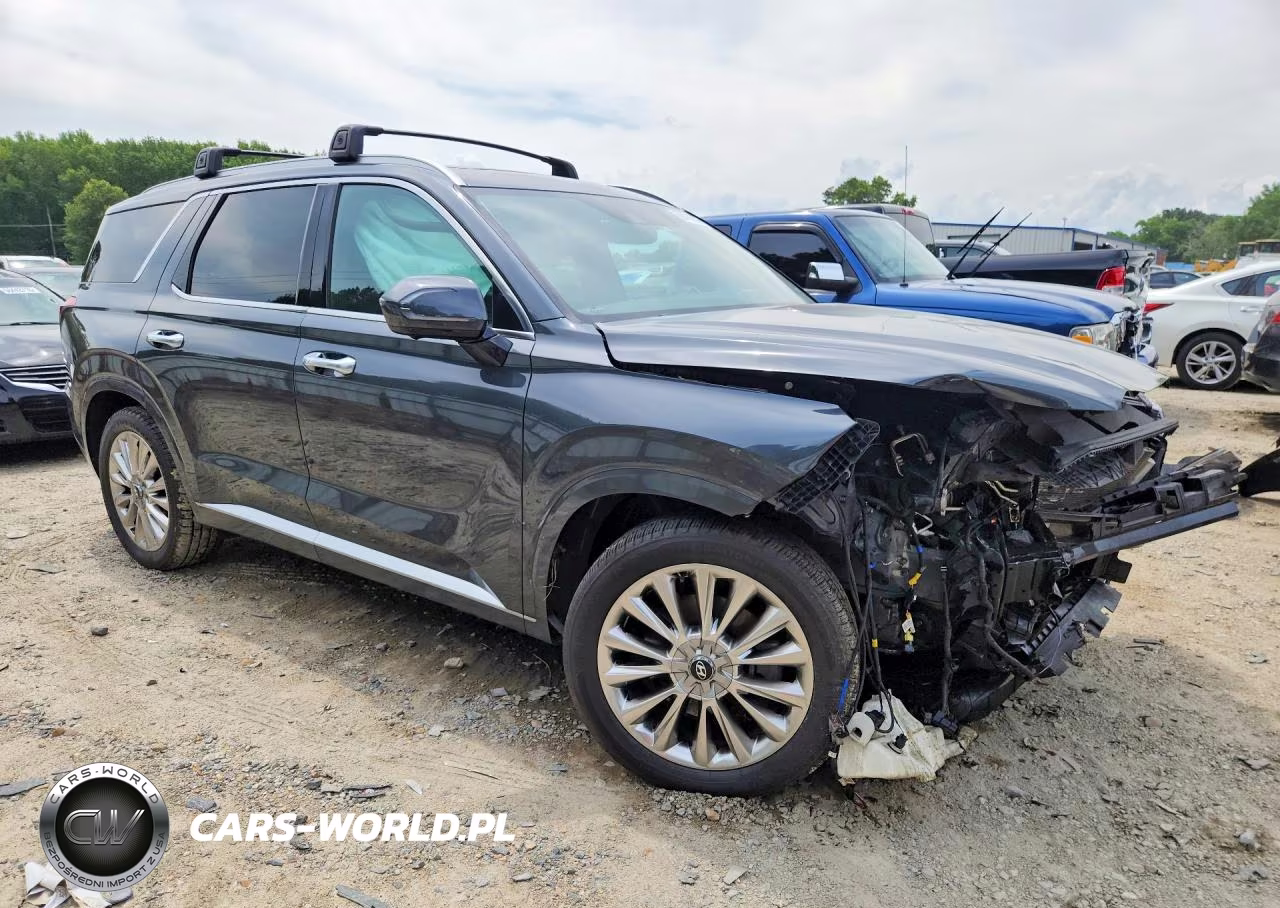 2020 Hyundai Palisade VIN:KM8R5DHE5LU087354 - 4