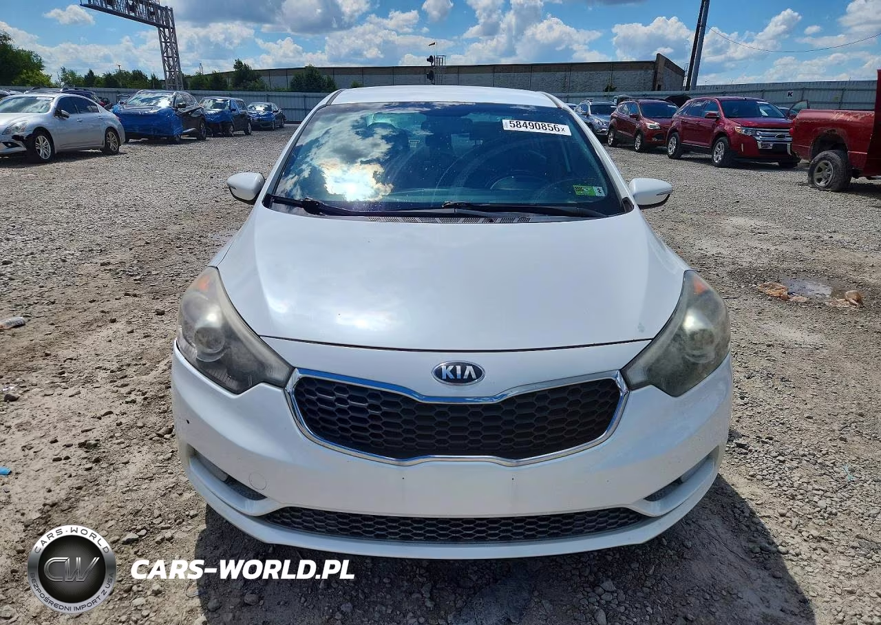 2015 Kia Forte Ex VIN:KNAFX4A81F5418190 - 5