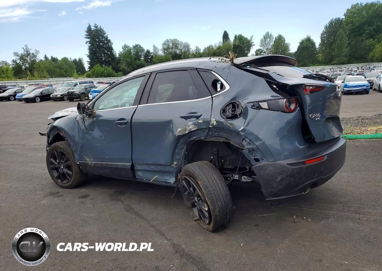 2024 Mazda Cx-30 Preferred VIN:3MVDMBCM2RM621362 - 2