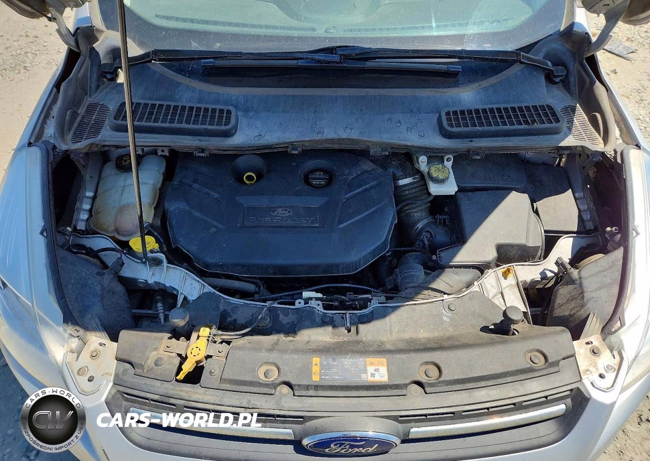 2016 Ford Escape Se VIN:1FMCU9G9XGUB98336 - 12