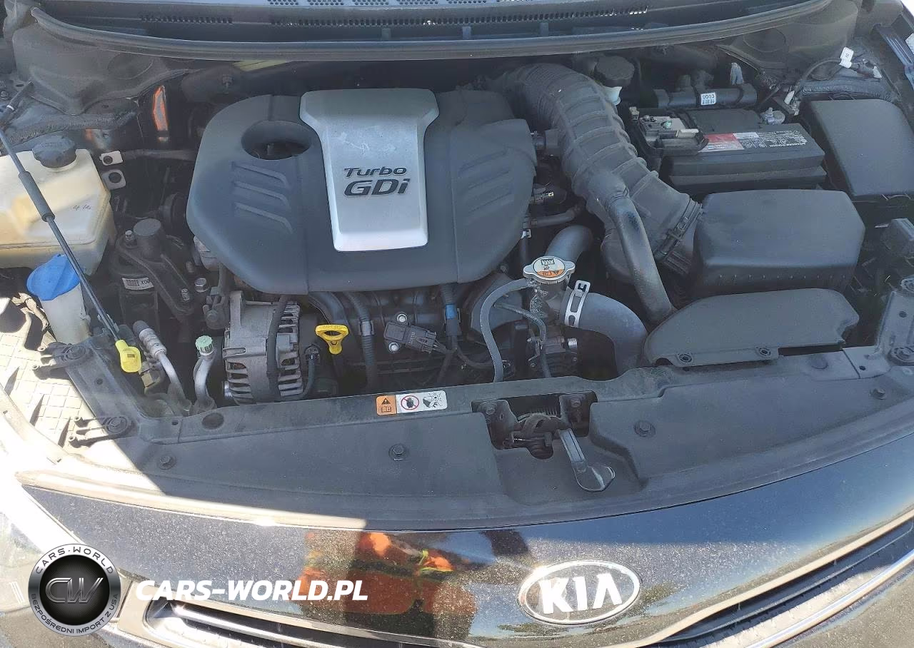 2015 Kia Forte Sx VIN:KNAFZ6A33F5420615 - 11