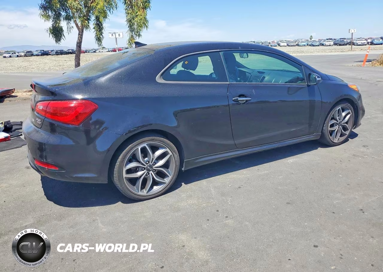 2015 Kia Forte Sx VIN:KNAFZ6A33F5420615 - 3