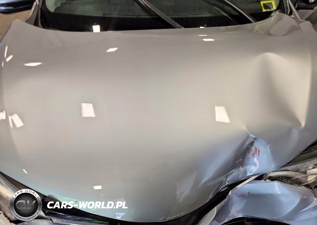 2017 Toyota Rav4 Xle VIN:2T3RFREV9HW649849 - 12