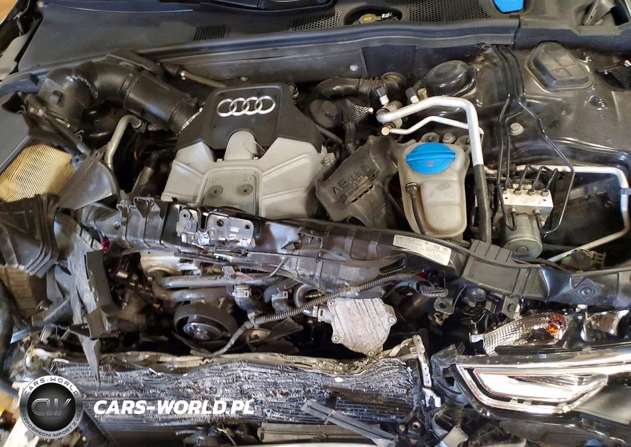 2013 Audi S5 Prestige VIN:WAUVGAFH8DN010298 - 11