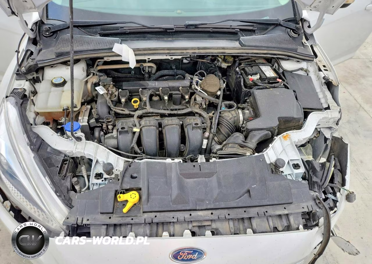 2016 Ford Focus Se VIN:1FADP3F21GL268920 - 11